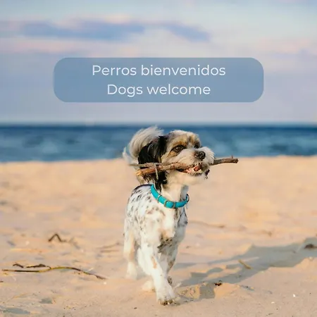 Candy Cotton - Piscina, Doble Terraza, Cocina Completa, Wifi Y Parking
