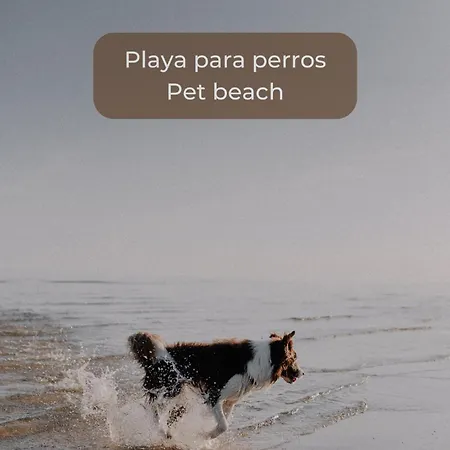 Candy Cotton - Piscina, Doble Terraza, Cocina Completa, Wifi Y Parking